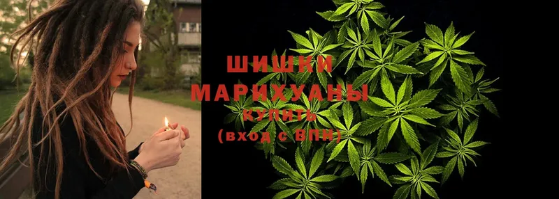 магазин продажи   Орехово-Зуево  Марихуана VHQ 